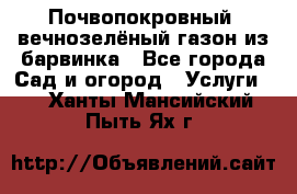 Почвопокровный, вечнозелёный газон из барвинка - Все города Сад и огород » Услуги   . Ханты-Мансийский,Пыть-Ях г.